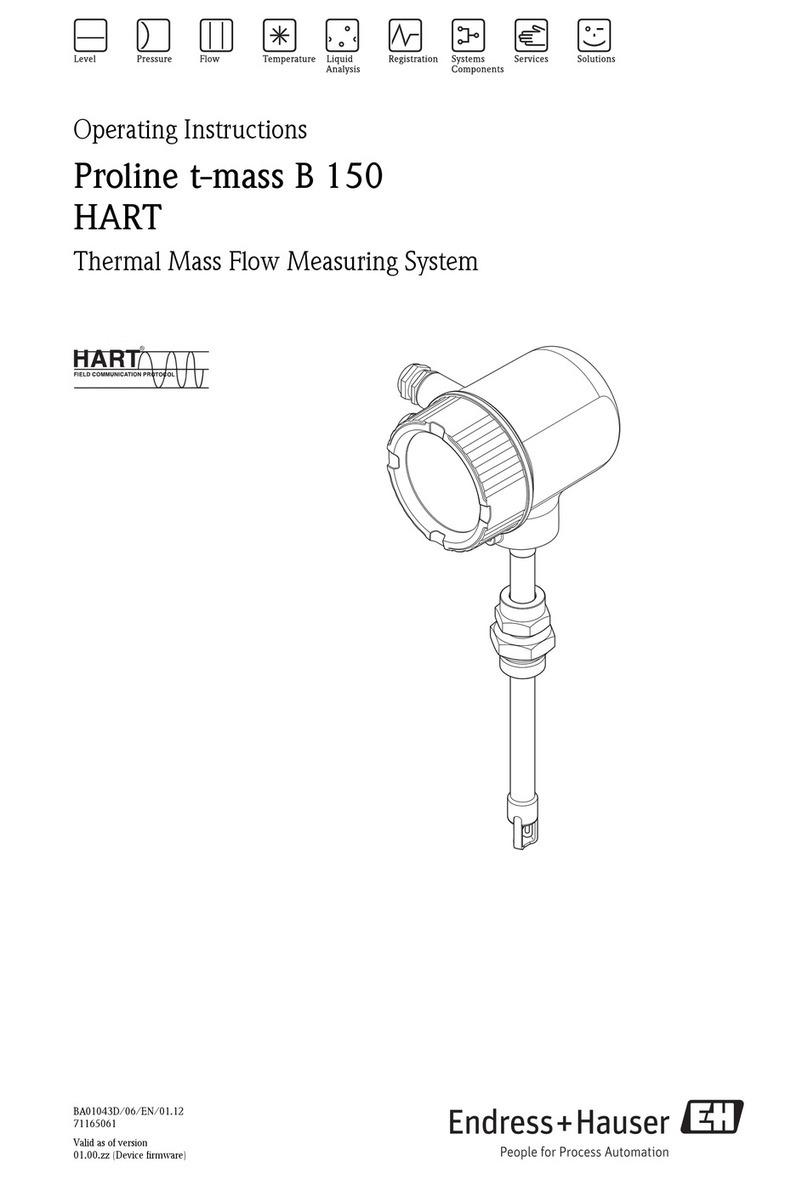Endress+Hauser Proline t-mass B 150 HART operating instructions