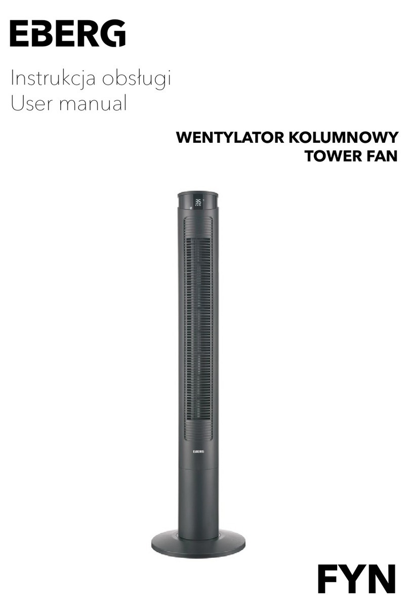Eberg FYN user manual