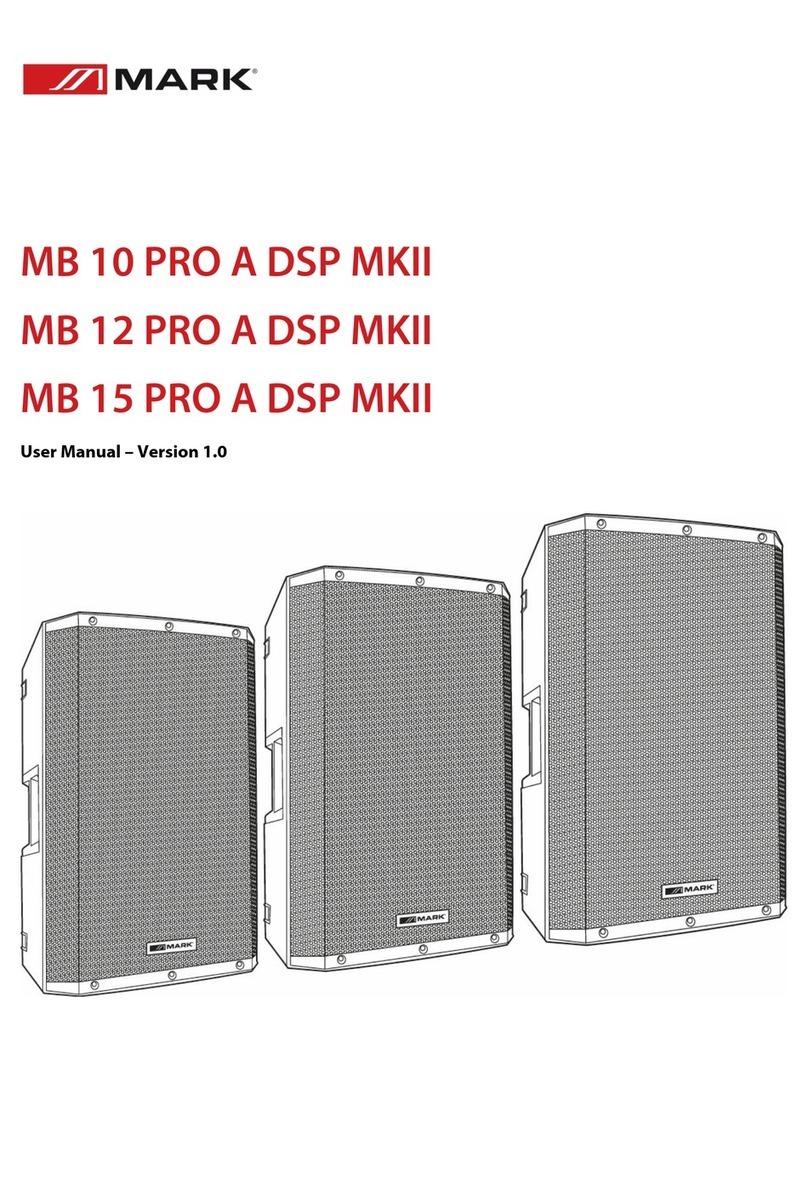 Mark MB 10 PRO A DSP MKII user manual