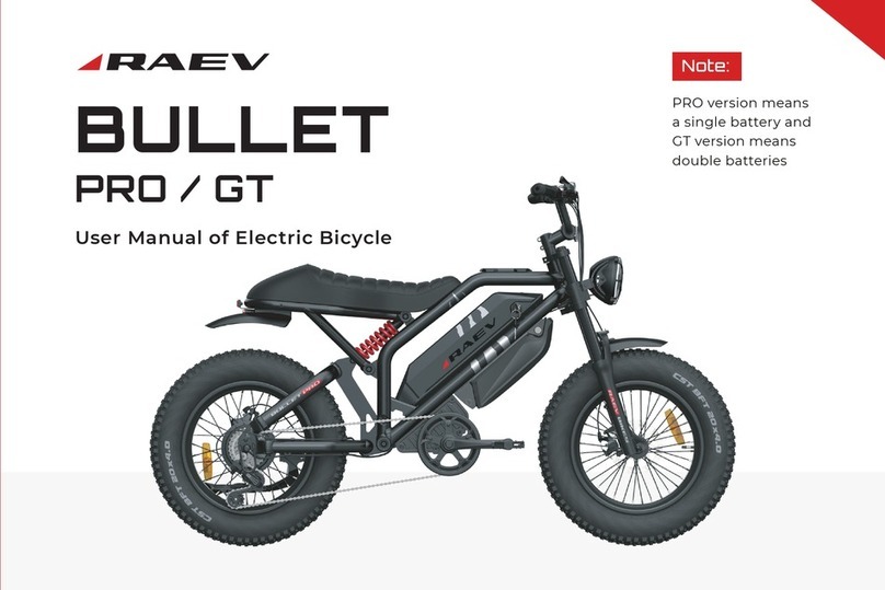 RAEV BULLET PRO user manual