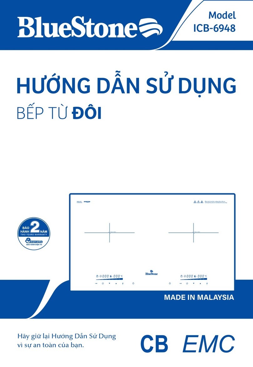 BLUE STONE ICB-6948 user manual