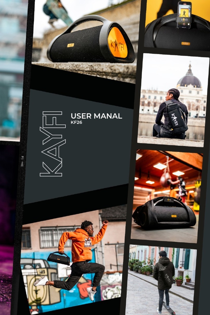 KAYFI KF26 User manual