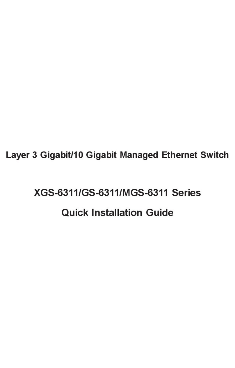 Planet XGS-6311 Series User manual