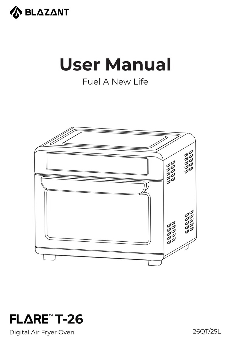 BLAZANT FLARE T-26 User manual