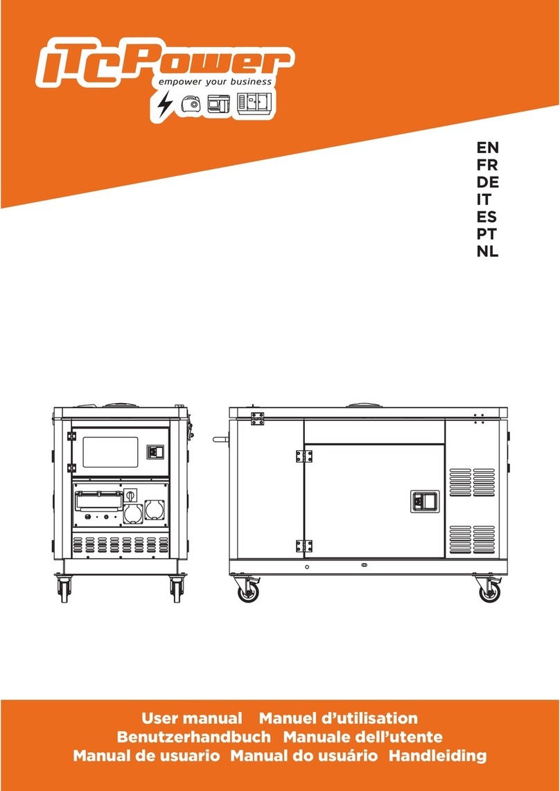 ITC Power DG12000XSE-T user manual