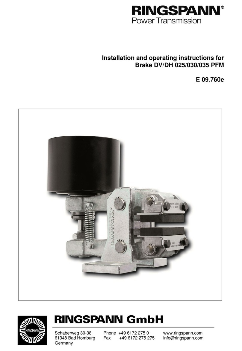 RINGSPANN DV 025 PFM User manual