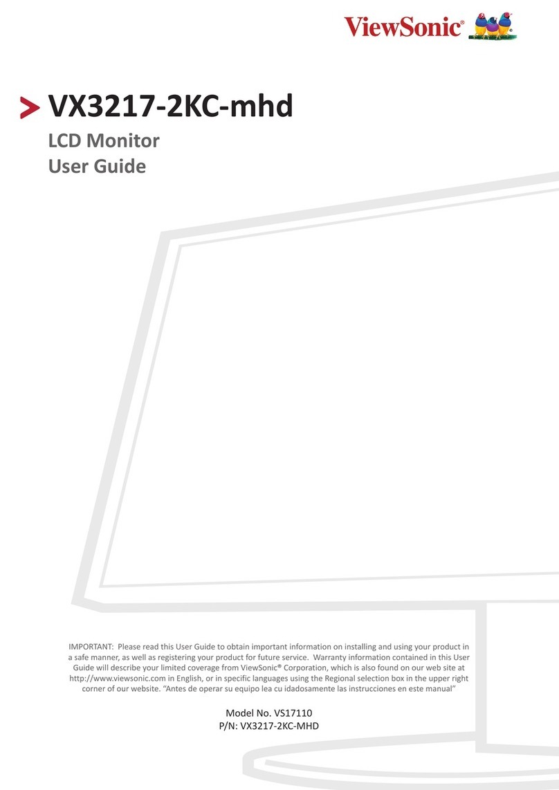 ViewSonic VS17110 User manual