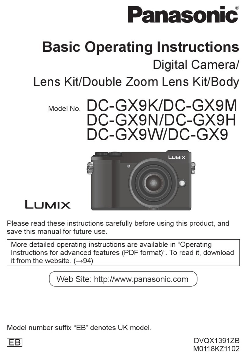 Panasonic LUMIX DC-GX9N Technical specifications