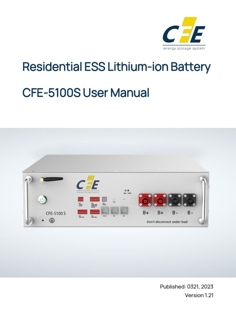 CFE CFE-5100S User manual