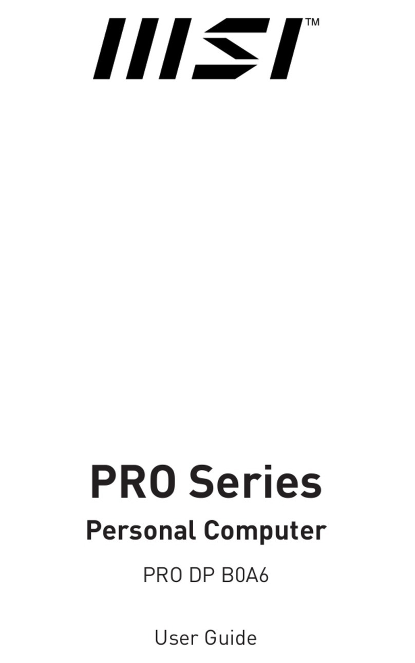 MSI PRO DP B0A6 User manual