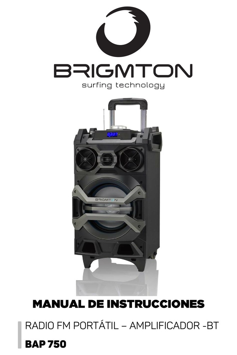 Brigmton BAP 750 instruction manual