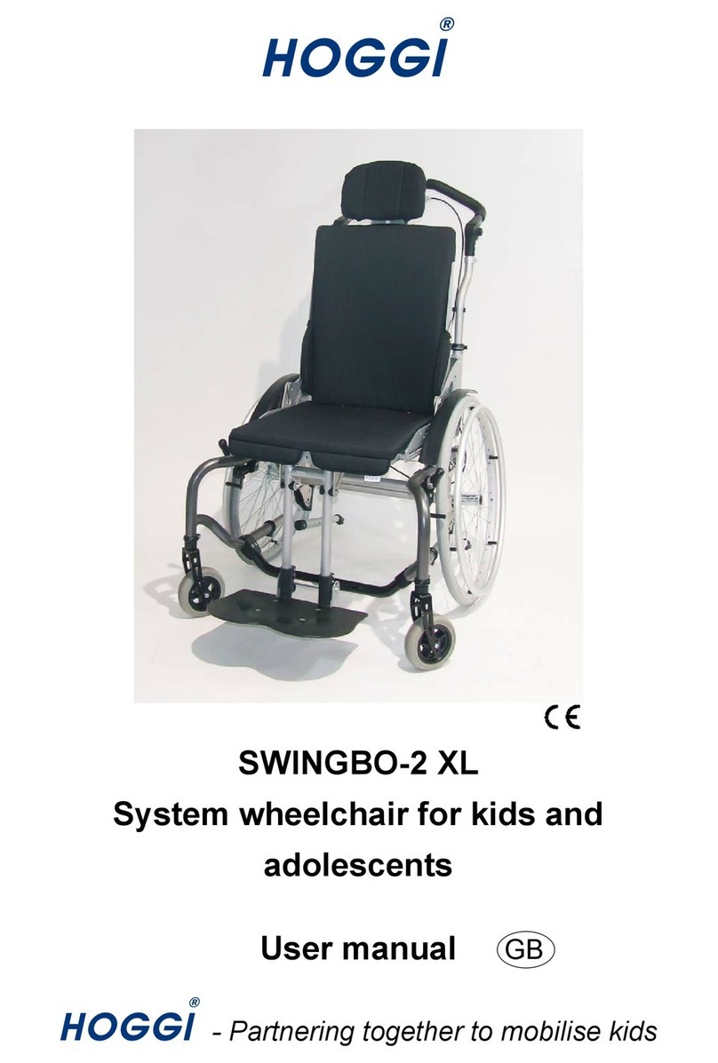 Hoggi SWINGBO-2 User manual