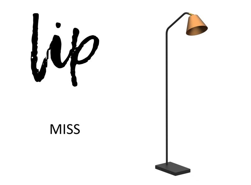 Lip MISS quick start guide