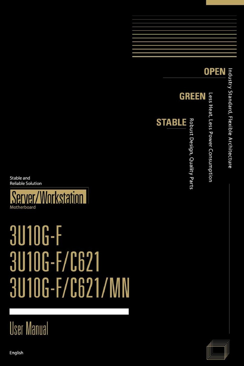 ASRock Industrial 3U10G-F user manual