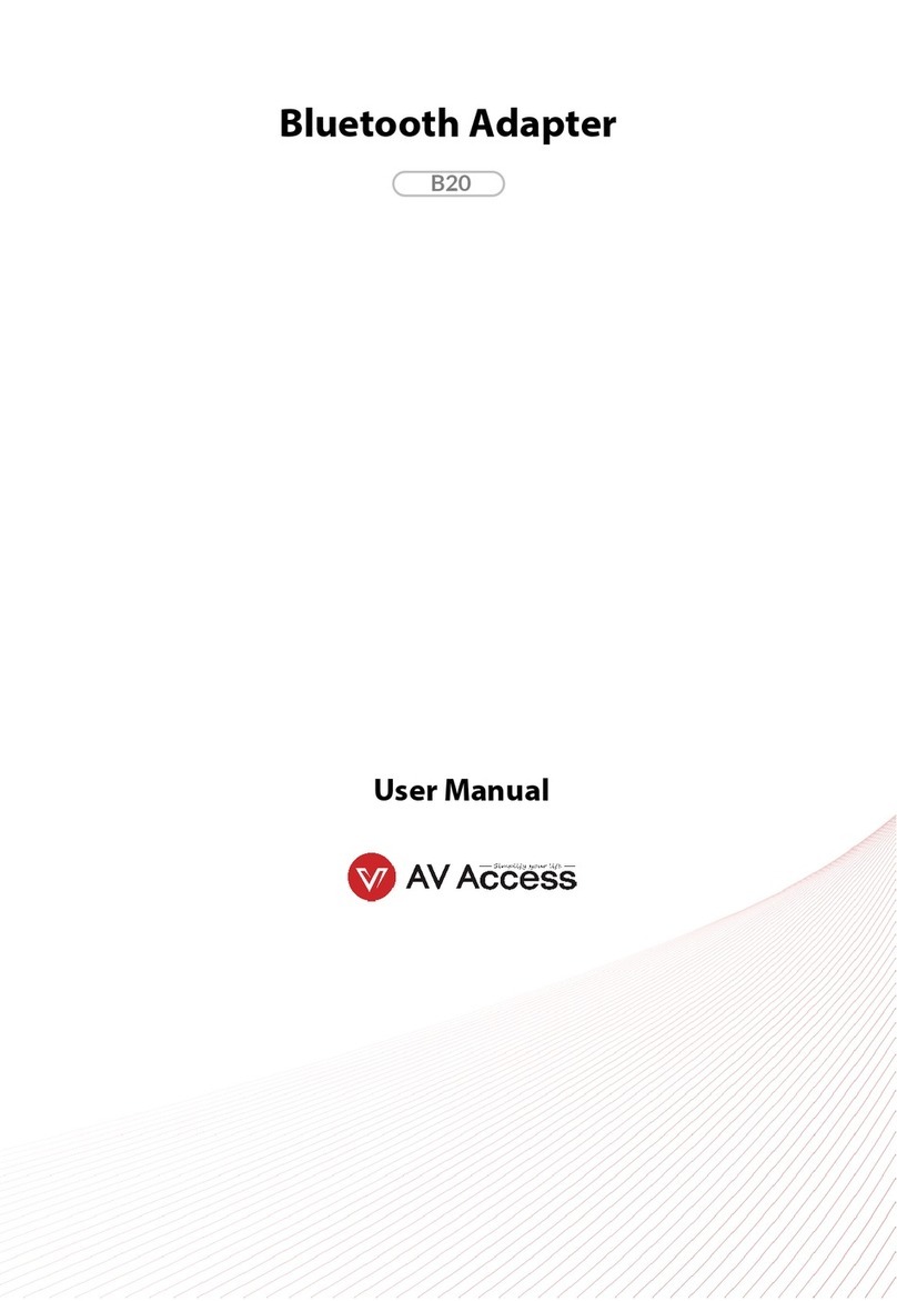 AV Access B20 user manual