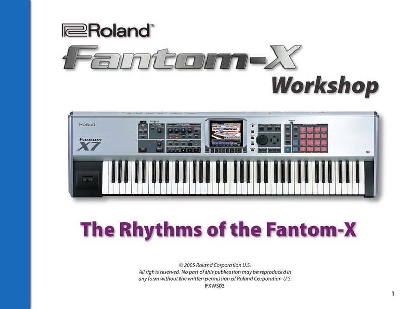 Roland Fantom-X FXWS03 User manual