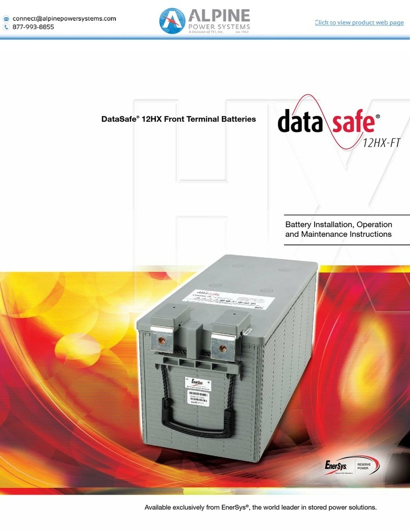 Alpine DataSafe 12HX User manual