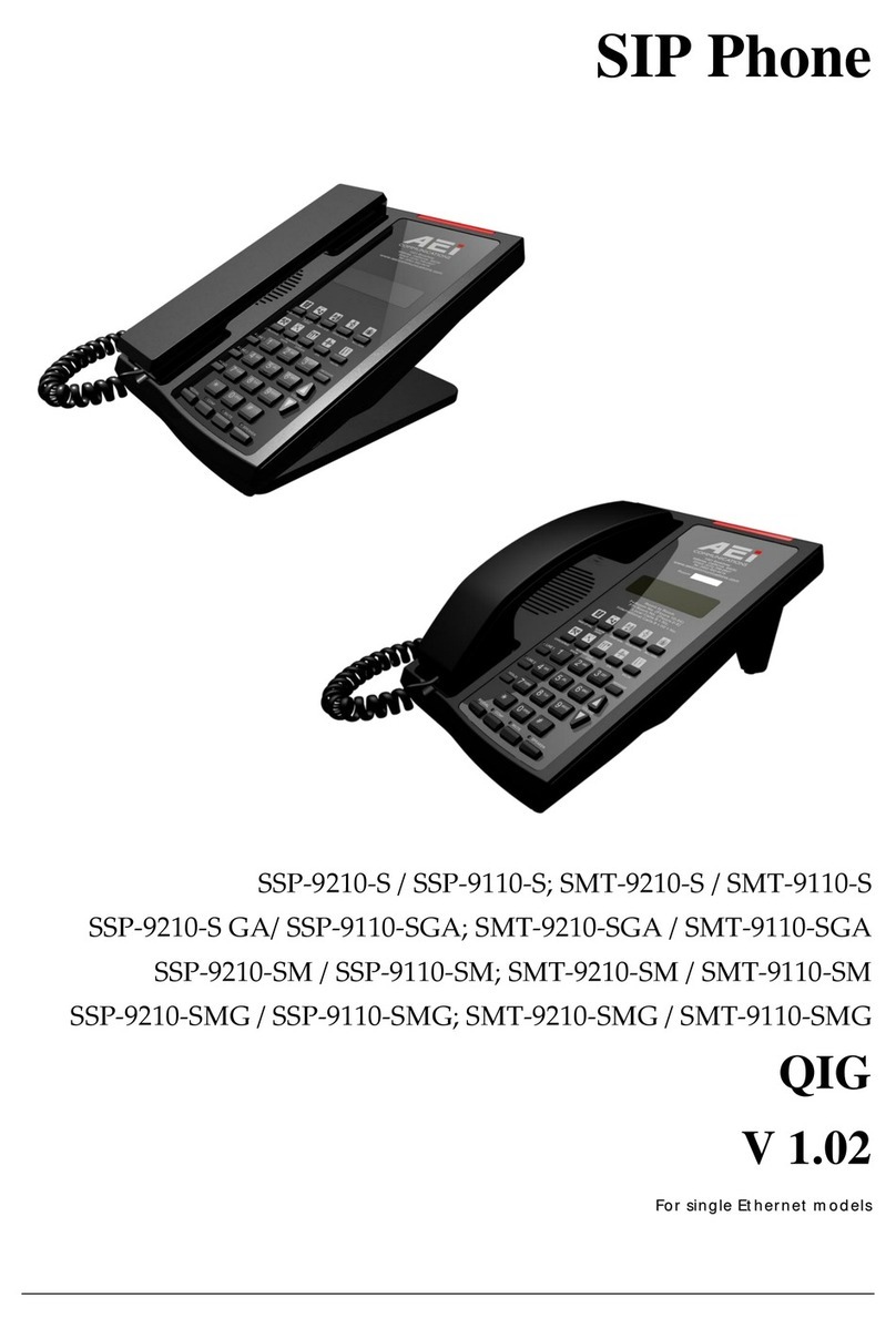 AEI SSP9210-SM User manual