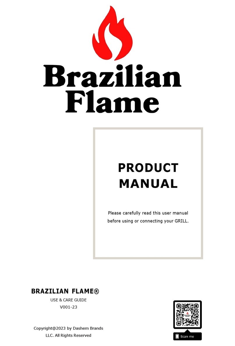 BRAZILIAN FLAME BD-02X product manual