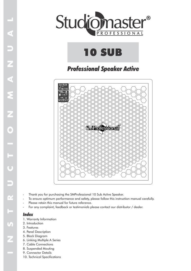Studiomaster Professional 10 SUB instruction manual