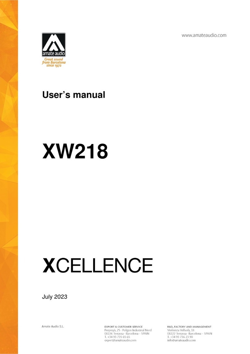 Amate Audio XCELLENCE XW218 user manual