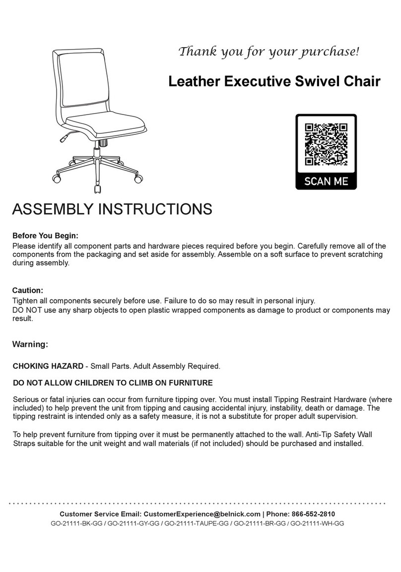 Belnick GO-21111-BK-GG Assembly instructions