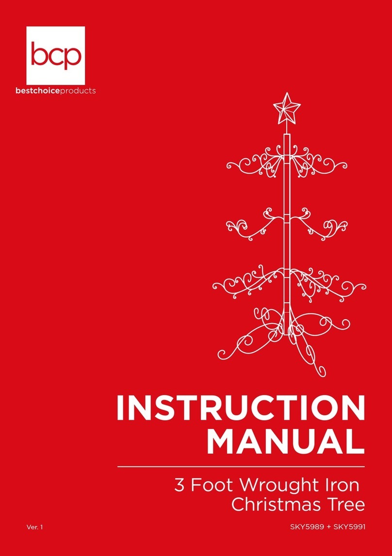 BCP SKY5989 User manual