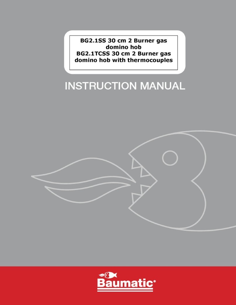 Baumatic BG2.1SS instruction manual