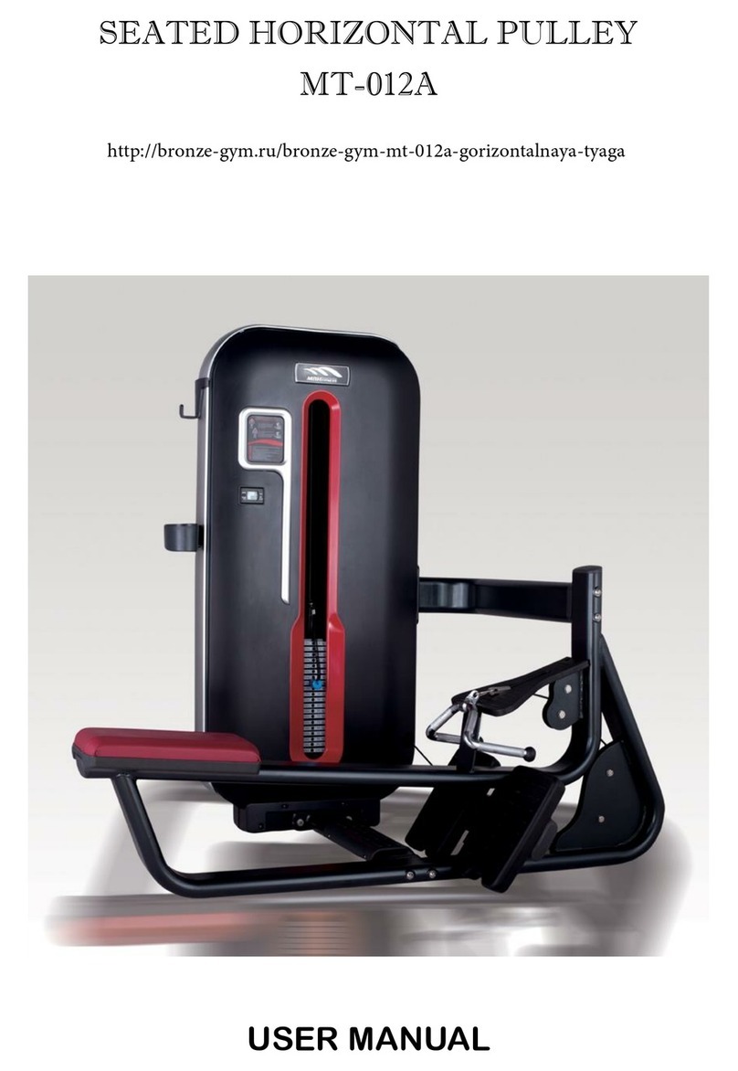 BRONZE GYM MT-012A user manual