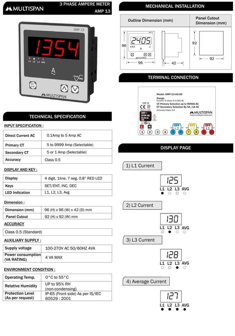 MULTISPAN AMP 13 User manual MULTISPAN AMP 13 User manual