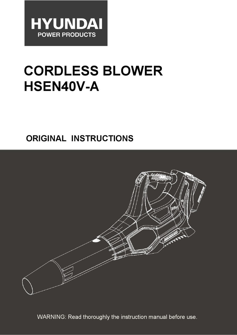 Hyundai HSEN40V-A User manual