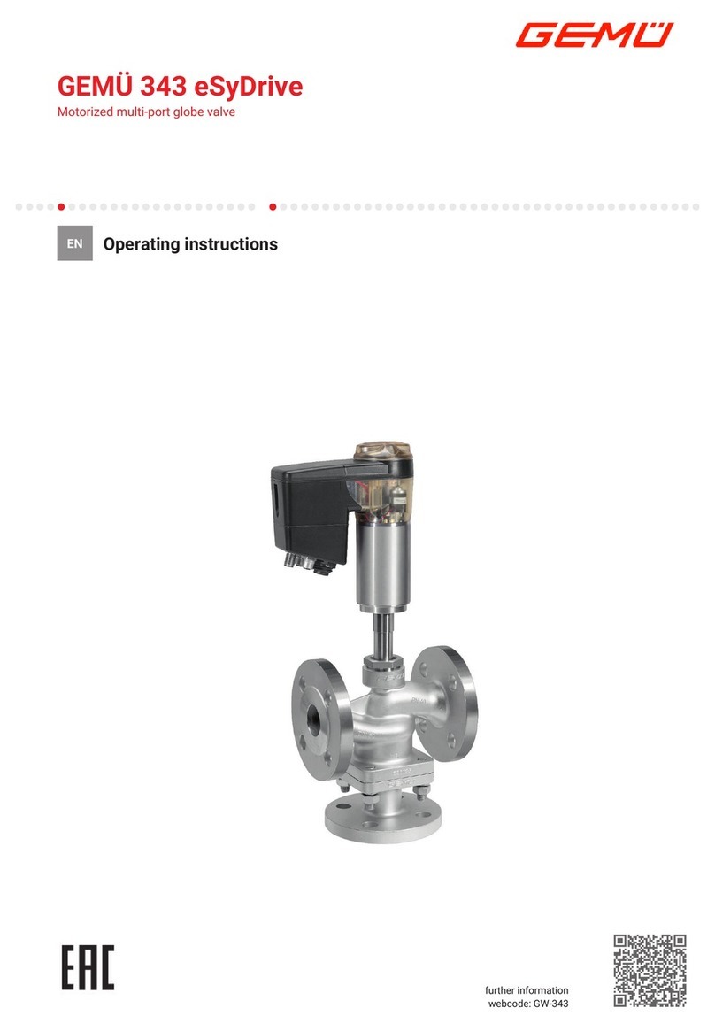 GEM 343 eSyDrive User manual