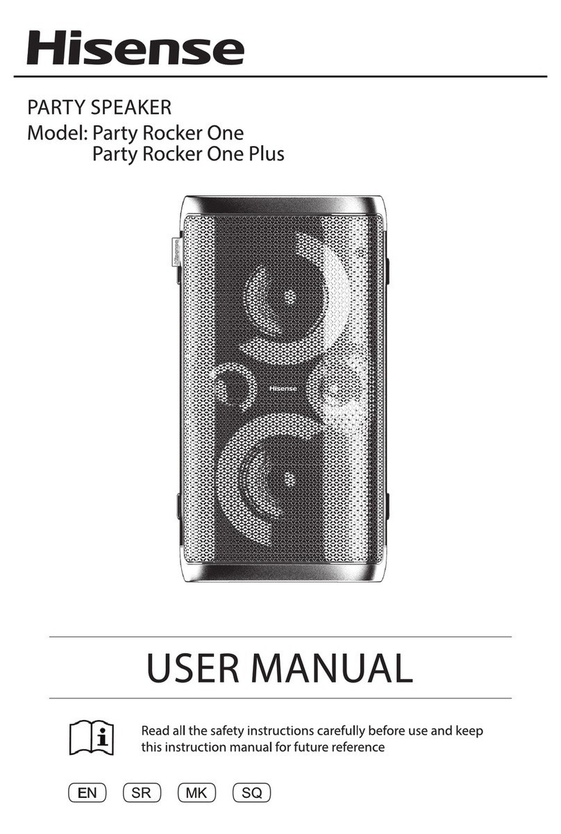 Hisense Party Rocker One user manual