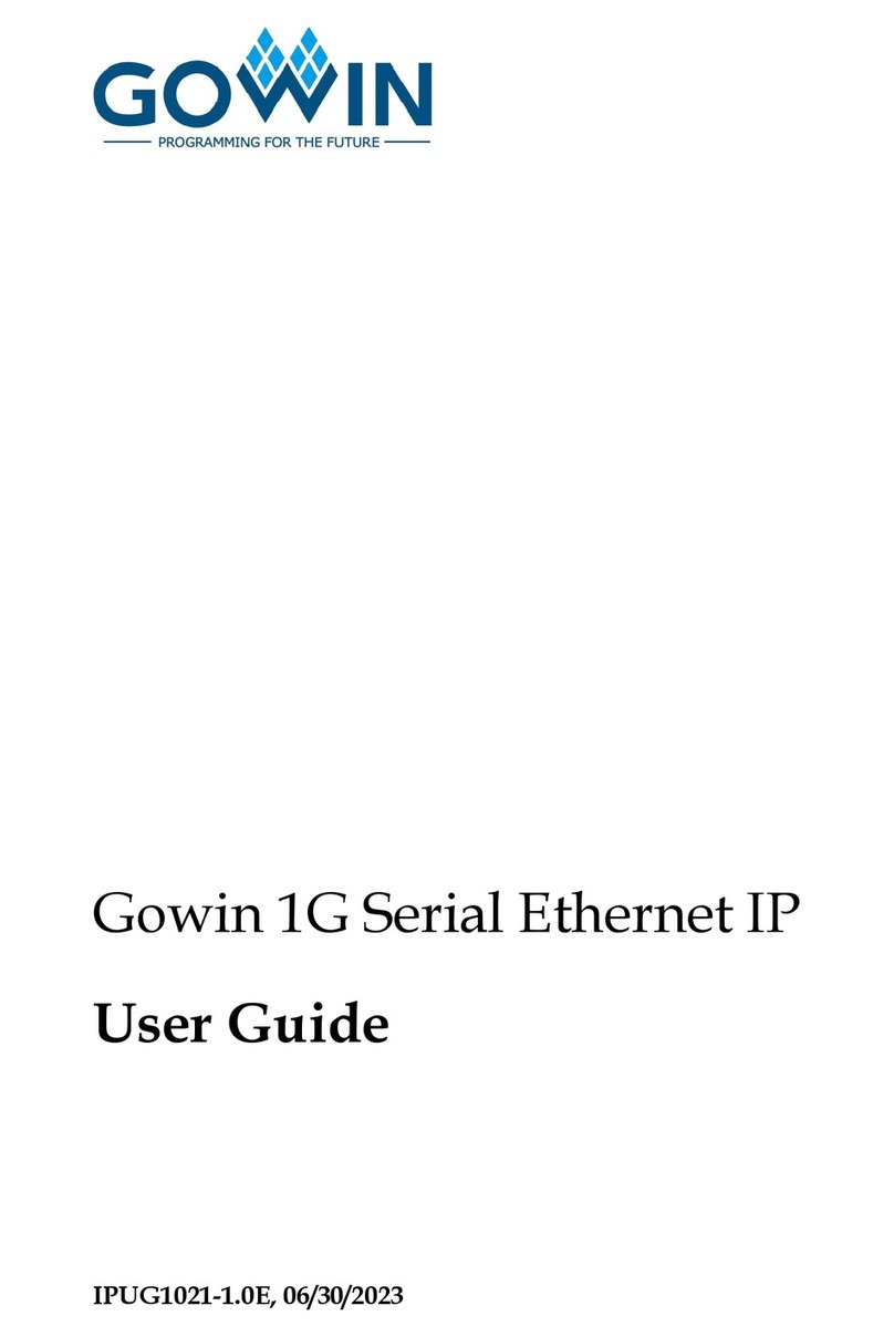 GOWIN 1G Serial Ethernet IP user guide