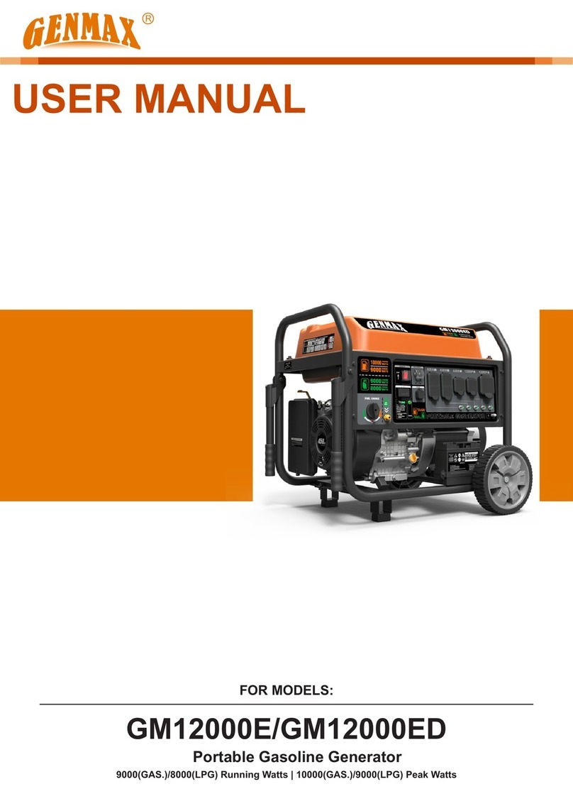 GENMAX GM12000E user manual