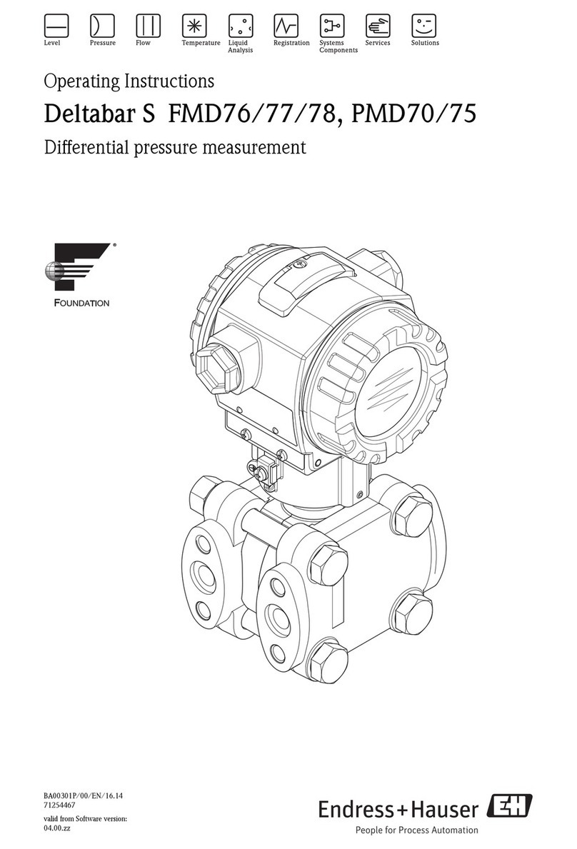 Endress+Hauser Deltabar S FMD78 User manual