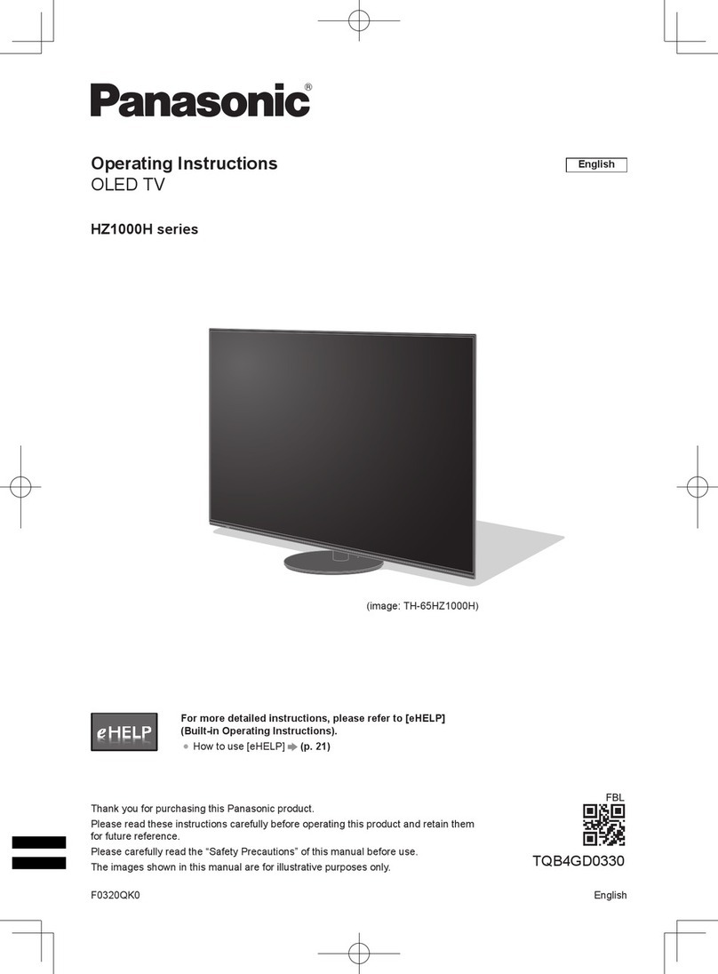 Panasonic HZ1000H Series User manual