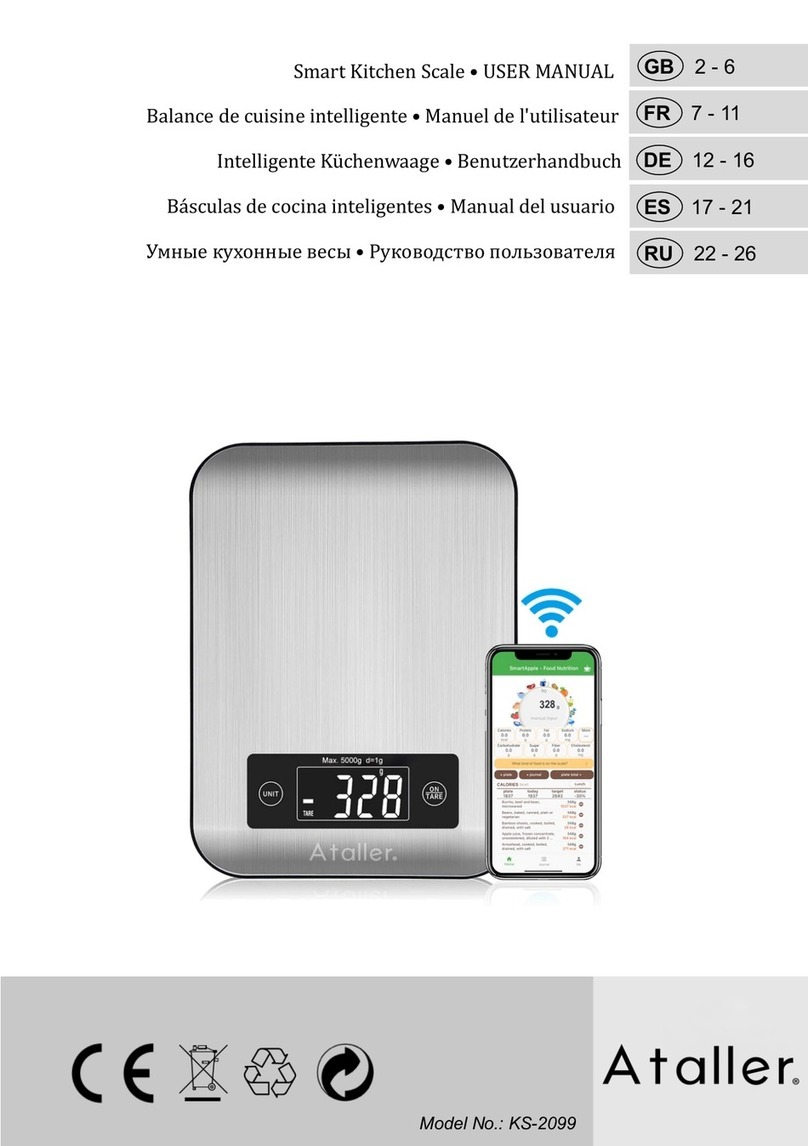 Ataller KS-2099 User manual