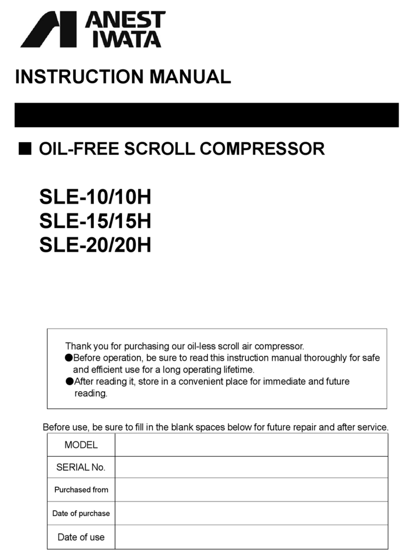 Anest Iwata SLE-10 SLE-15 instruction manual