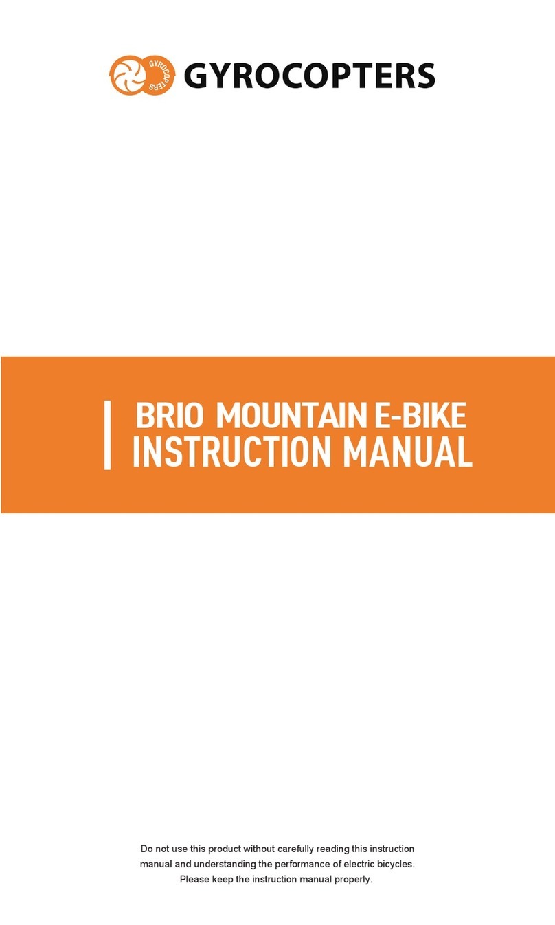 Gyrocopters BRIO instruction manual