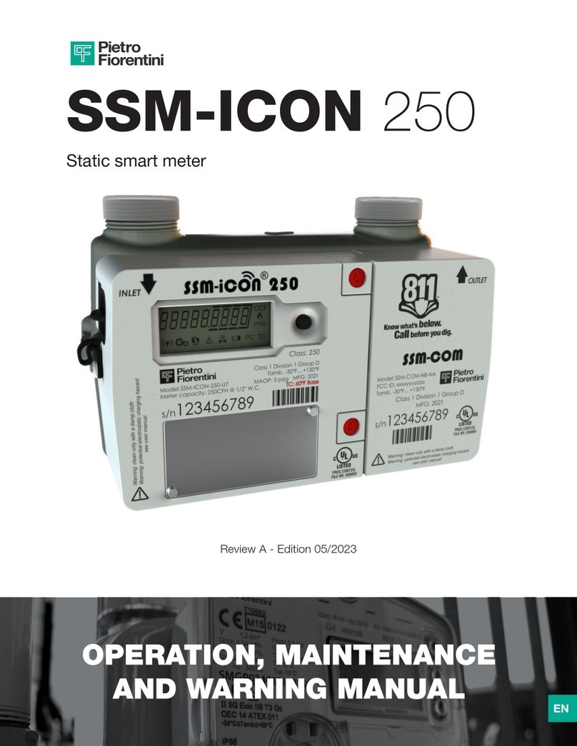PIETRO FIORENTINI SSM-ICON 250 User manual