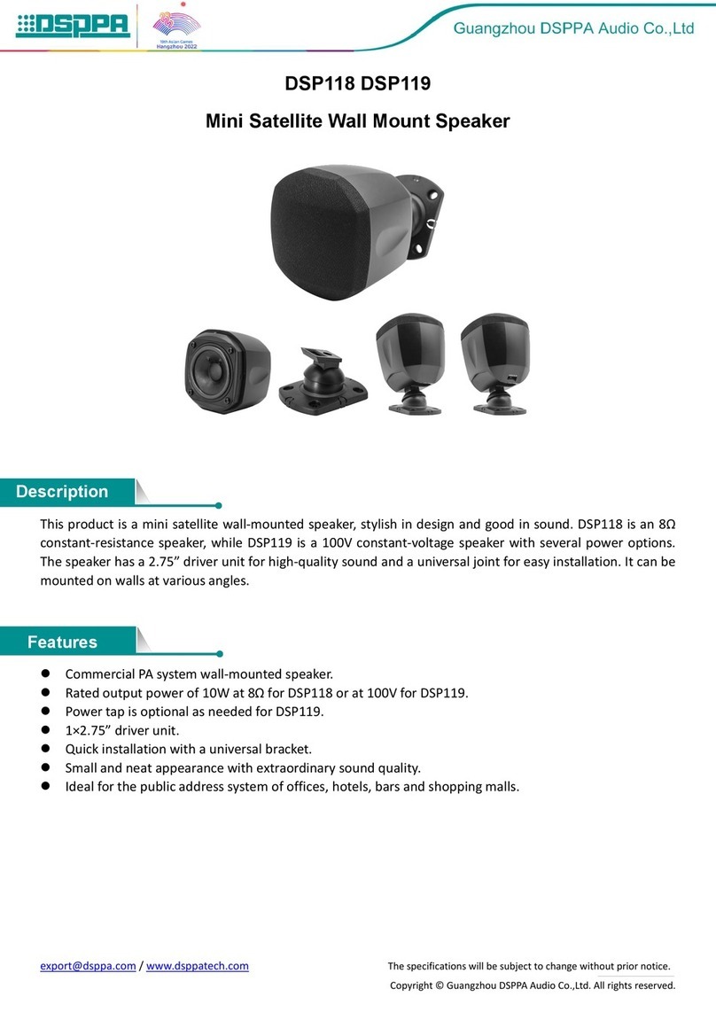 DSPPA DSP118 User manual