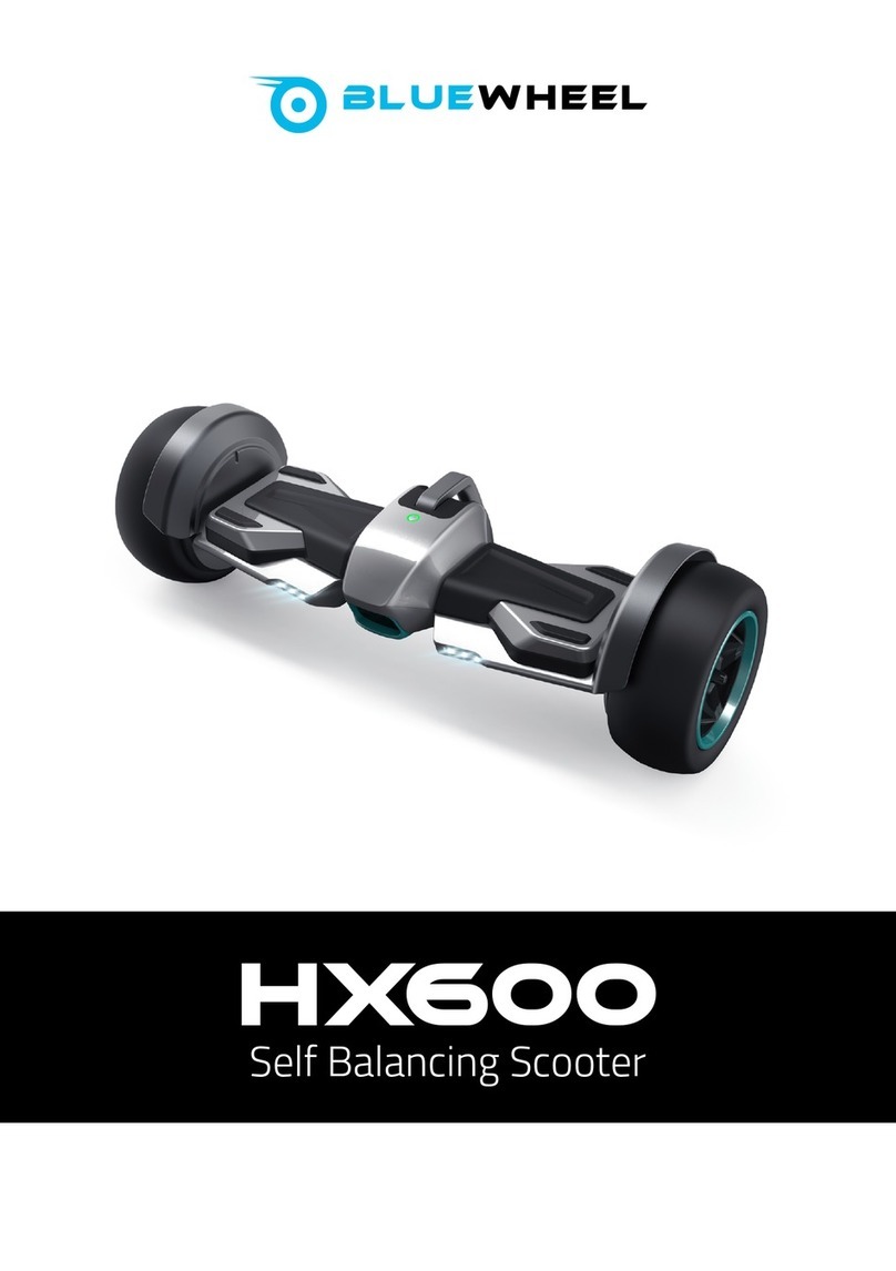 Bluewheel HX600 User manual
