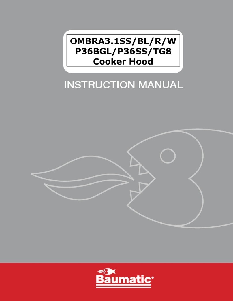 Baumatic OMBRA3.1SS instruction manual Baumatic OMBRA3.1SS instruction manual