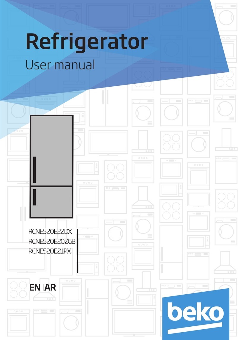 Beko RCNE520E22DX user manual