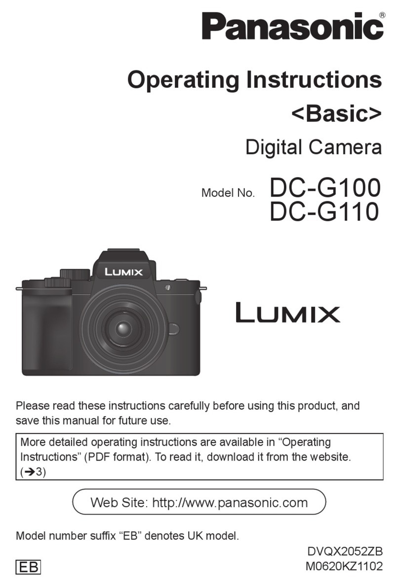 Panasonic Lumix DC-G110 operating instructions