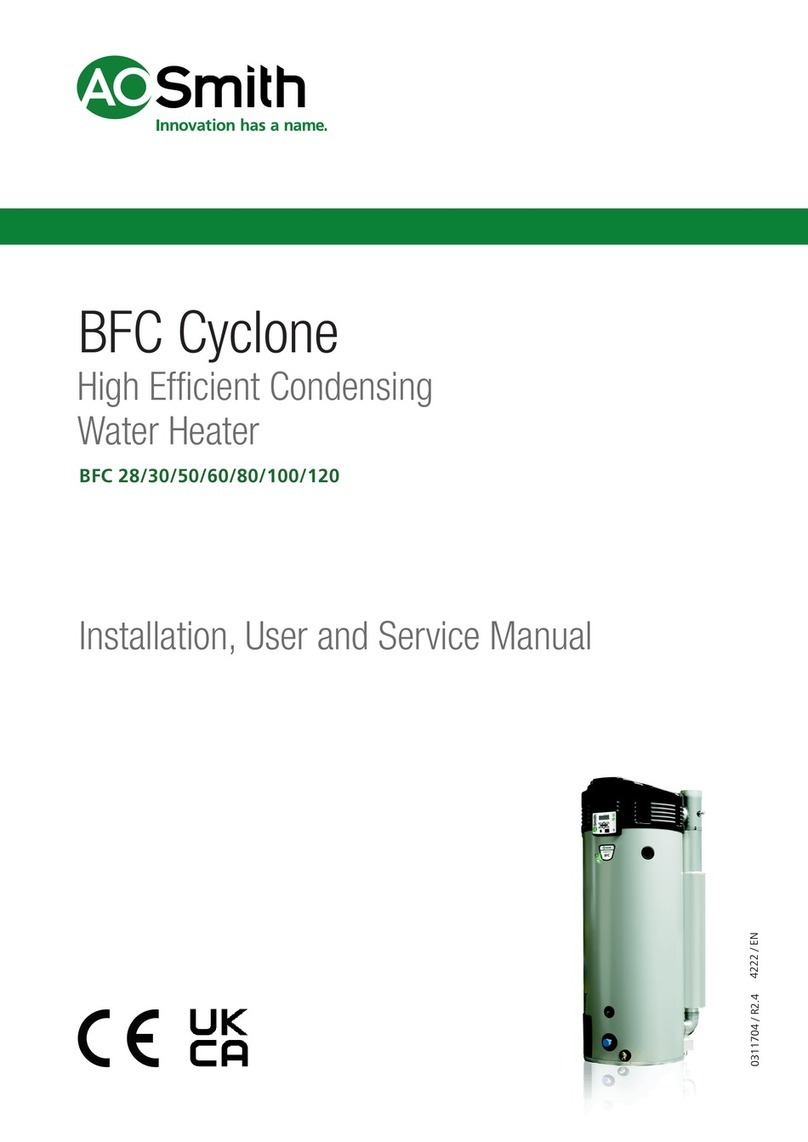 A.O. Smith BFC Cyclone 28 Installation, user and service manual