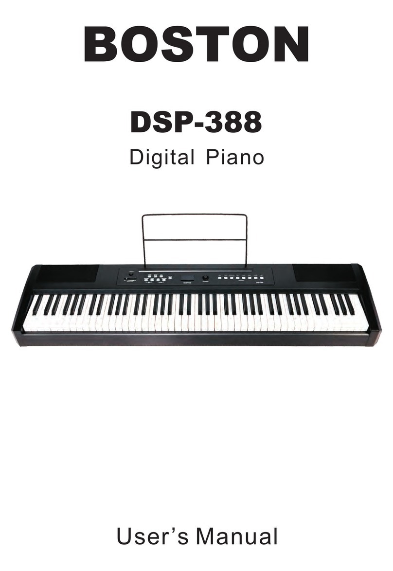 Boston DSP-388 user manual