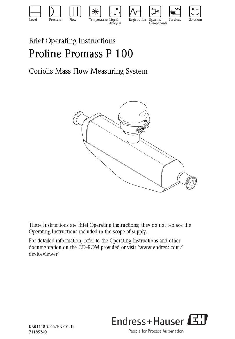 Endress+Hauser Proline Promag P 100 Brief operating instructions