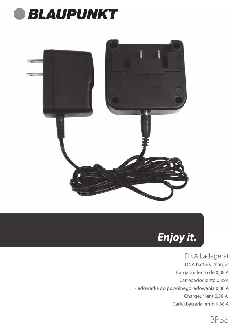 Blaupunkt BP38 manual